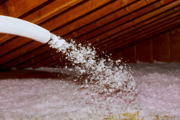 Best Specialized Insulation Services in Olga, FL