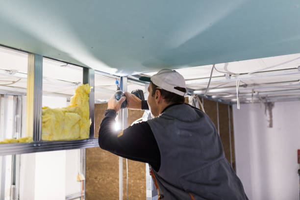 Best Eco-Friendly Insulation in Olga, FL