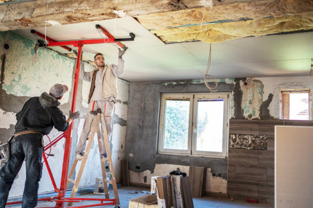 Best Insulation Maintenance and Repair in Olga, FL