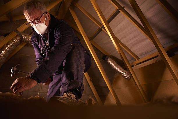 Best Energy Efficiency Insulation in Olga, FL